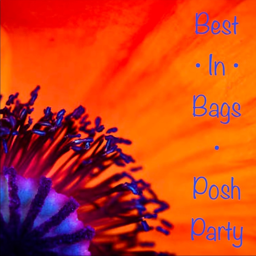 Best In Bags